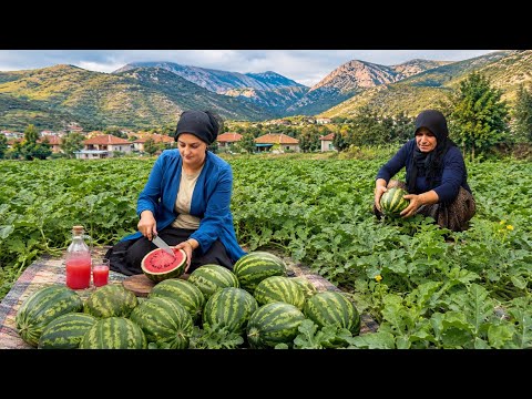 Köy Hayatı Taze Karpuz Hasadı | Karpuz Meyve Suyu Yapımı Belgesel 4K