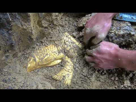 Diver Finds Possible Human Skull Bone Underwater! (Police Called)