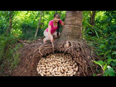 OMG! I've Never Seen This Many Palm Weevils in One Place! 😱 | Rotten Trunk Harvest