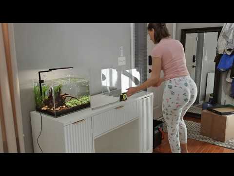 Nano Tank #2 – Shrimp + New Fish + Full Tank Setup