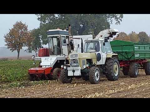 14. Oktober 2025