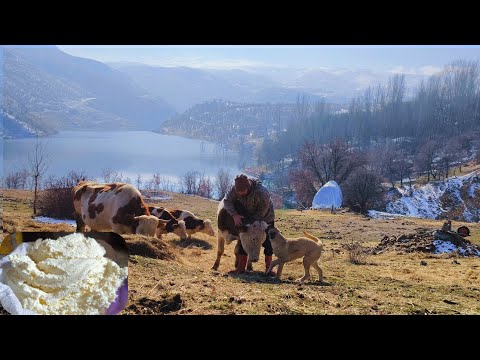 Medeniyetten uzak doğanın bağrında huzurlu köy yaşamı. Peaceful village life. #köy #villagelife