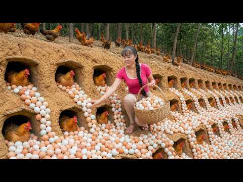 Satisfying Egg Harvest In Holes | Building Hen Nests & Market Sell