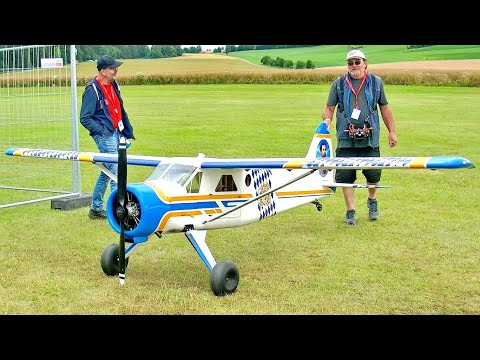 GIGANTIC !!! HUGE RC DHC-2 BEAVER SCALE 1:3 MODEL AIRPLANE / FLIGHT DEMONSTRATION !!!