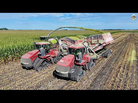 Corn Silage Harvest! 3 Case IH 620 Quadtracs & Amity Crop Chasers