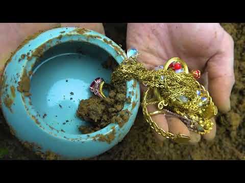 Searching for the Dream of Gold: Metal Detector Takes You into the World of Treasures