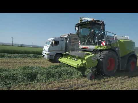 Claas 960 jaguar