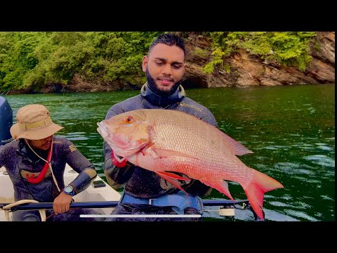 Putting some RED fish in the Cooler | Spearfishing Trinidad for Snapper and Barracudas