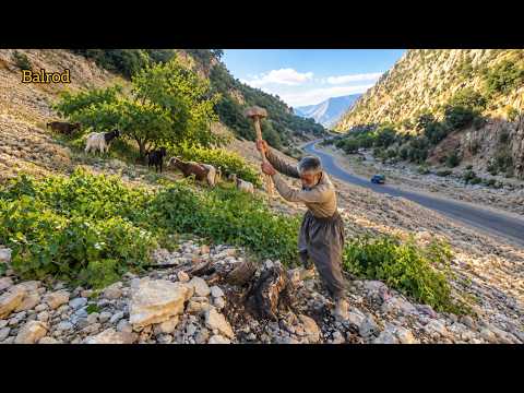 🐐 The secret to nomad survival in winter: saving trees from goats