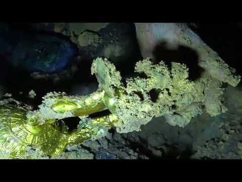 Found Gun and Human Remains Underwater in the River While Scuba Diving! (Police Called)