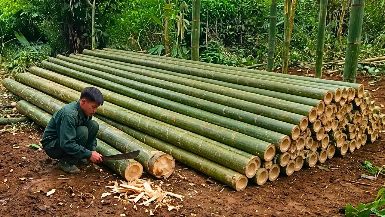 Man Builds DIY Villa In The Jungle | Start To Finish By @Mr.TBushcraft