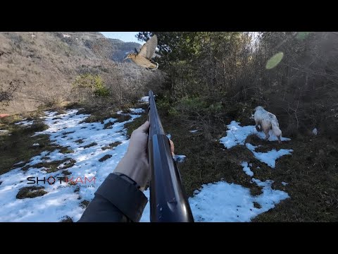 ÇULLUK AVI. Kar sonrası çok zor bir av. #woodcock #woodcockhunting #hunting #mountains #çulluk