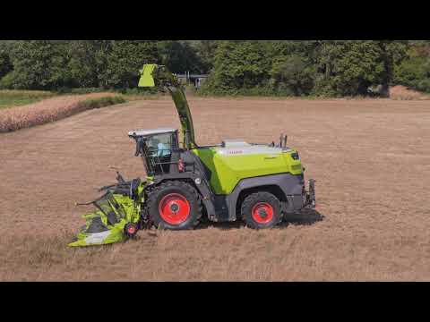 Maize Time 2026