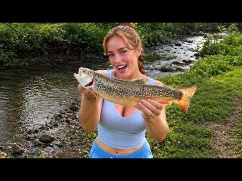 The rare TIGER TROUT! There were SO MANY Fish in this TINY Stream!