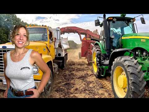 First Potato Harvest 2026 | Spend Sunday On The Farm With Me