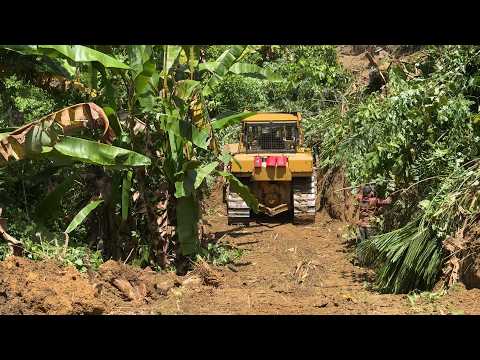 Creating Oil Palm Terraces on Extreme Land for a Big Bulldozer Project