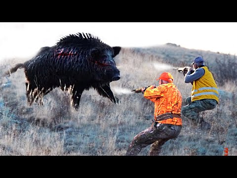 TOP 50 İNANILMAZ YABAN DOMUZU AVI derleme,Wild Boar  Hunting Down America's Most Destructive Pest