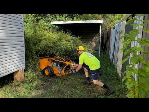 All this JUST to get Into the Yard! Monster Yard Clean Up!