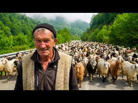 Muhammet'in Keçi Sürüsü | Belgesel Film