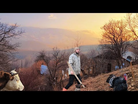 Dağ köyünde zorlu yaşam. Mountain village life.