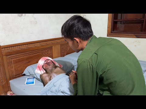 CUTIS fever makes dad worried