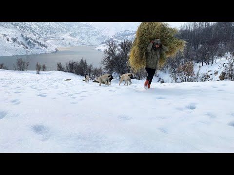 Zorlu Kış Şartlarında Dağ Köyünde Gerçek Huzuru Bulmak❄️❄️True Love and Peace in the Heart of Winter