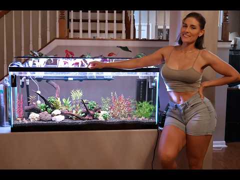 55 Gallon Planted Tank With CO2: Time to Sit Back and Watch