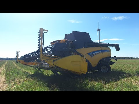 Żniwa 2026! rzepak/2x New Holland CX.8.85 CASE IH Puma 185