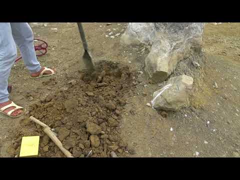 Helping the Police Find a Gun Underwater to Solve a Criminal Case! (Metal Detecting Underwater)