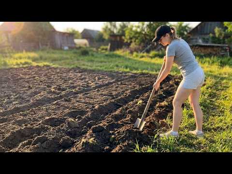This Was the Hardest Day Since I Returned to My Grandma’s House… I Started a New Vegetable Patch