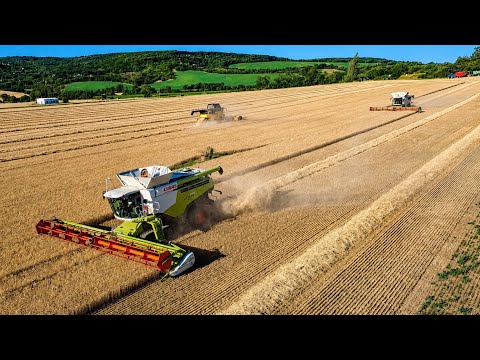 Žatva 2026 | 3x Claas Lexion 8900TT / 8700TT / 780TT | New Holland CR8.90  | PD Hlohovec