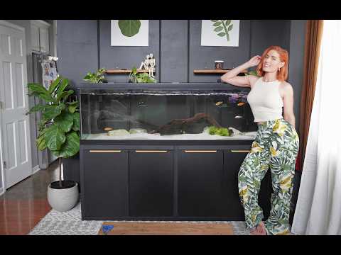 Adding Pothos in Tanks for nitrate control and aesthetics