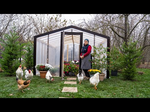 Building a New Greenhouse and Cooking Stuffed Onions