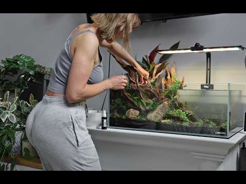 All Planted | LANDEN 75S Aquascape Complete 🌿 Final Reveal (Pt. 3)