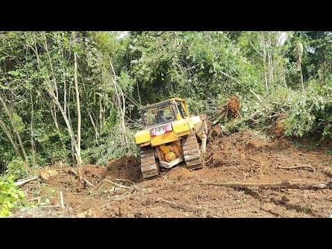 D6R XL Bulldozer Clearing the Forest and Making a Terrace