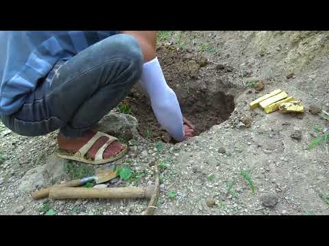 Searching for Possible Murder Weapons in a Shallow Urban Canal! (WLTZ News Interview)