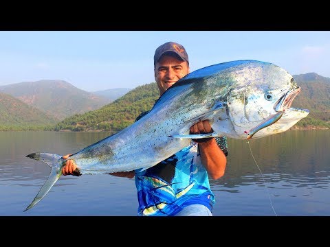 Hayatımın Avı / Giant Record Dorado