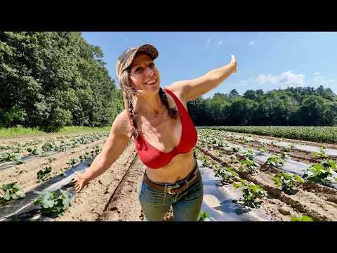 Spend The Day With Me - Garden Planting,  Home Chores & A Crop Update