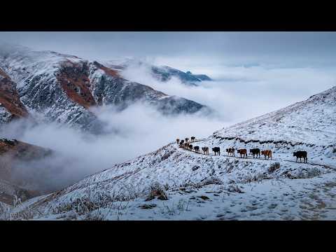 Kışla Gelen Göç - Dağlara Veda | Belgesel Film