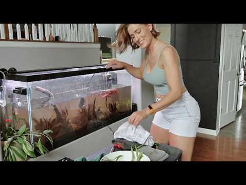 Ripping Out My 55 Gallon Tank